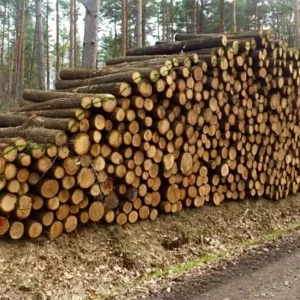 Charme Chêne - 60 Stères